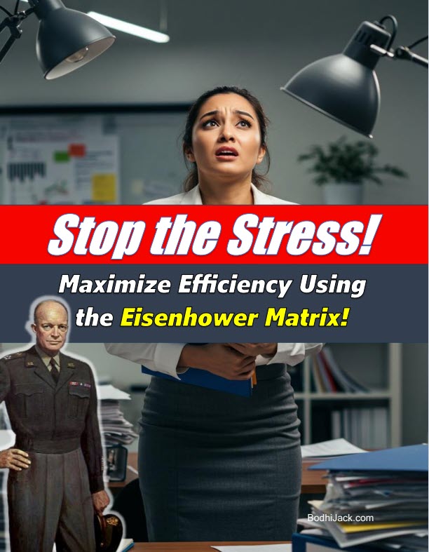 Free eBook - Maximize Efficiency Using the Eisenhower Matrix